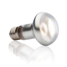 ExoTerra Intense Basking Spot - lampada per terrari a luce concentrata 2