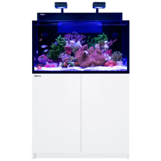 Red Sea Max Nano G2 XXL cm90x55x50h - acquario marino...