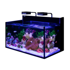 Red Sea Max Nano G2 XXL cm90x55x50h - acquario marino... 2