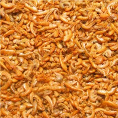 JBL Gammarus 1000ml/110gr - Mangime per Tartarughe Acquatiche 2