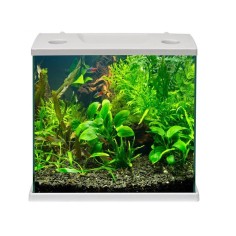MTB Cleo Plus 22,5L - Acquario cm34,5x23,5x33,5h con...