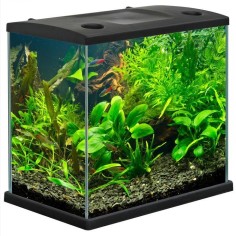 MTB Cleo Plus 22,5L - Acquario cm34,5x23,5x33,5h con... 2