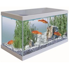 MTB Start Up Bianco - Acquario 17L cm40,5x20,5x24,6h 2