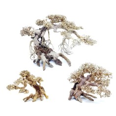 DecorLine Bonsai Wood Foto Indicativa - Bonsai naturali decorativi per acqua dolce