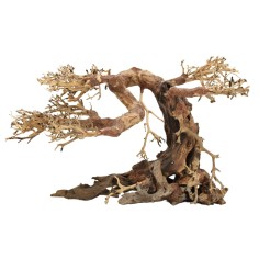 DecorLine Bonsai Wood Misura cm38x24x24 foto reale cod.BW02