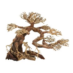 DecorLine Bonsai Wood Misura cm40x15x32 foto reale cod.BW01