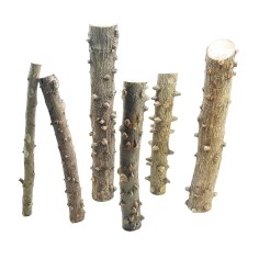 DecorLine Eyes Wood Foto Indicativa - Legni decorativi naturali