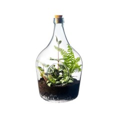 Terrario Bottle Garden Holed 10L cm25,2x25,2x39,4h -...