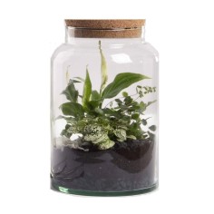 Terrario Bottle Garden Jar 6,2L cm18,5x18,5x32,3h - terrario in barattolo di vetro