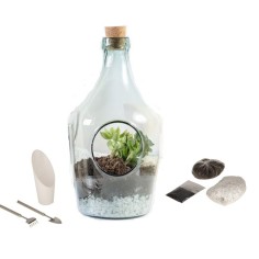 Terrario Bottle Garden Holed Set 3L cm24,2x24,2x41h - terrario in bottiglia di vetro con foro più kit di allestimento