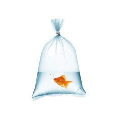 Buste Trasporto Pesci Formato cm 50x120h - 1 pezzo
