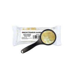 Cibo Vivo White Worms confezione da 45ml - vermi bianchi vivi