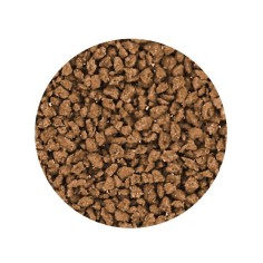 Elos SV2 65gr - Alimento in Granuli Specifico per Pesci... 2