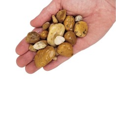 Wio Bumblebee Gravel Mix 5kg - Ghiaia Ocra Naturale -... 2