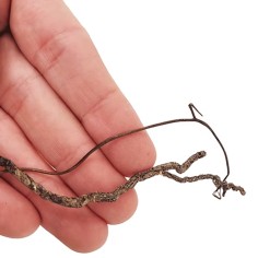 Wio Mini Root 80g 10-30cm - radici naturali 2