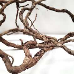 Wio Elder Root 250g 10-30cm - radici naturali 2