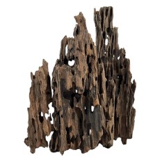 Wio Dragonscale Wood XS - legno naturale - fino a 10cm