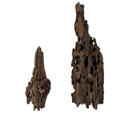 Wio Dragonscale Wood XS - legno naturale - fino a 10cm 2