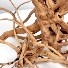 Wio Blondspider Wood M 20-30cm - legno naturale 2