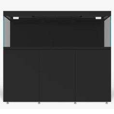 WaterBox EDEN X 175.6 Nero con supporto ed illuminazione...