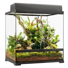 ExoTerra Glass PRO Terrarium Medium Tall – cm60x45x60h 2