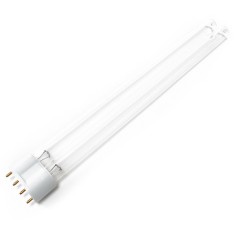 Amtra Ricambio Lampada UV 36w 2G11