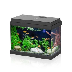 Aqpet Simply LED 30 nero - acquario cm39x22x30h completo...