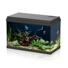 Aqpet Simply LED 60 nero - acquario cm60x30x39h completo...