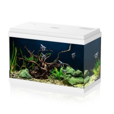 Aqpet Simply LED 60 bianco - acquario cm60x30x39h...