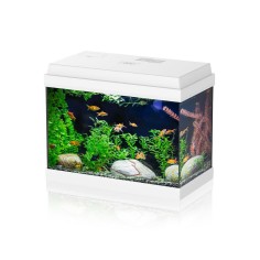 Aqpet Simply LED 30 bianco - acquario cm39x22x30h...