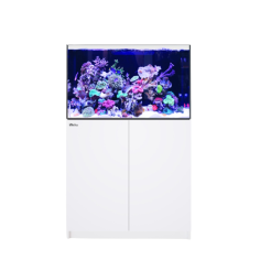 Red Sea REEFER 300 G3 bianco cm 90x57,5x55h con sump,...