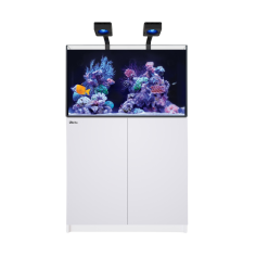 Red Sea REEFER Deluxe 250 G3 bianco cm 90x57,5x55h -...