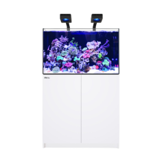 Red Sea REEFER Deluxe 300 G3 bianco cm 90x57,5x55h -...
