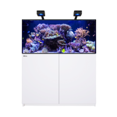 Red Sea REEFER Deluxe 425 G3 bianco cm 120x60x55h -...