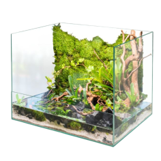 Diversa Paludario 40x30x10/30 - in vetro extrachiaro