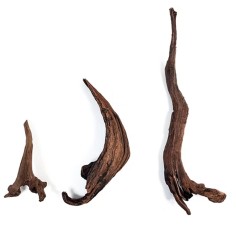 Wio Longhorn Wood S 10-20cm - legno naturale