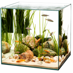 AquariumLine Cube 25 - acquario cubico cm25x25x30h 2