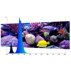 Micmol G2 FELIX 1200 Marine 60 watt - per acquari marini 2