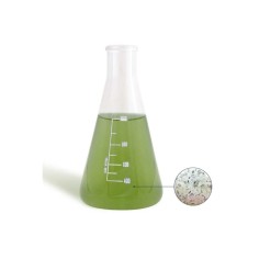 Bea Mesocosmo Micro 1000ml - coltura di zooplancton...