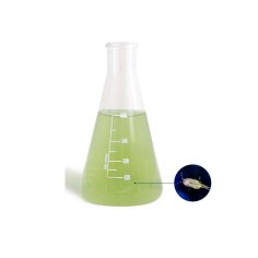 Bea Mesocosmo Tisbe 1000ml - coltura di zooplancton...