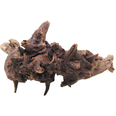 DecorLine Driftwood Misura cm38x23x38h Foto Reale cod.DW03