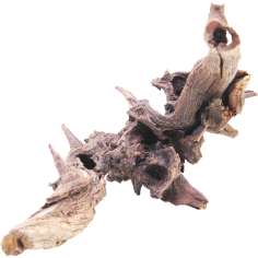 DecorLine Driftwood Misura cm38x23x38h Foto Reale cod.DW03 2