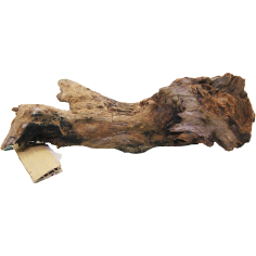 DecorLine Driftwood Misura cm29x6x12h Foto Reale cod.DW06