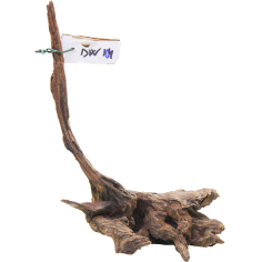 DecorLine Driftwood Misura cm16x10x21h Foto Reale cod.DW104