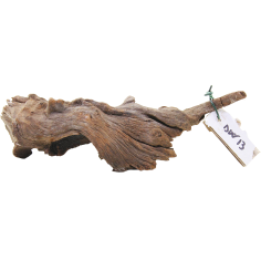 Decorline Driftwood Misura cm23x6x7h Foto Reale cod.DW13 2