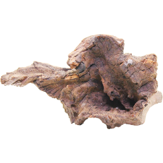 Decorline Driftwood Misura cm18x9x10h Foto Reale cod.DW30