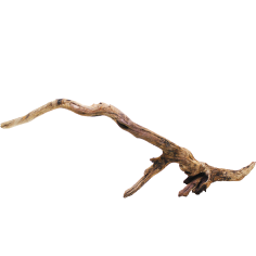 Decorline Driftwood Misura cm70x24x36h Foto Reale cod.DW33 2