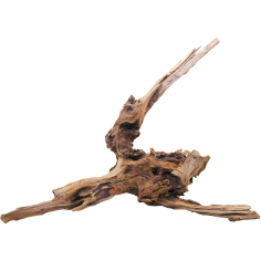 Decorline Driftwood Misura cm30x26x10h Foto Reale cod.DW35