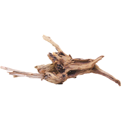 Decorline Driftwood Misura cm30x26x10h Foto Reale cod.DW35 2