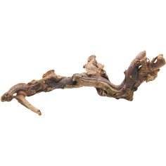 Decorline Driftwood Misura cm34x13x12h Foto Reale cod.DW52